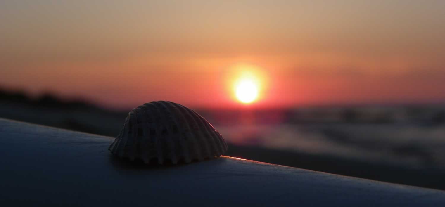 Titelbild Startseite